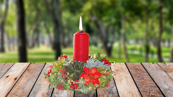 Living Succulent Wreath DIY KIT