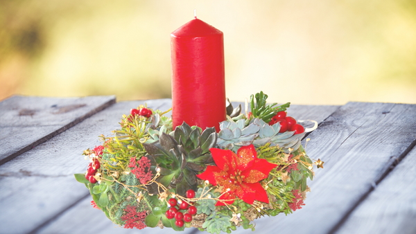 Living Succulent Wreath DIY KIT