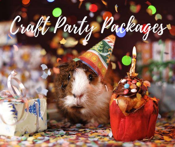 Kid’s Party Craft Entertainment