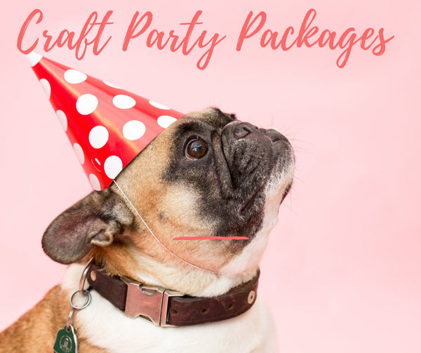 Kid’s Party Craft Entertainment