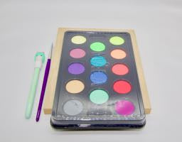 Framed Watercolour Feather Painting DIY KIT