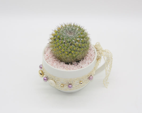 Tea Cup Cacti Beaded