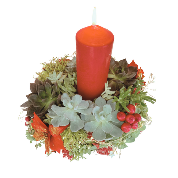 Living Succulent Wreath DIY KIT