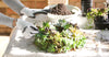 Living Succulent Wreath Workshop Sunday 22/10/2023