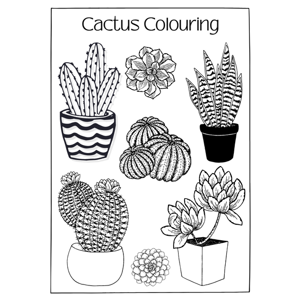 Free Printable Cactus Colouring