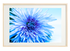 FLOWER PRINT 13