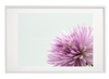 FLOWER PRINT 16