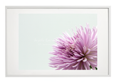 FLOWER PRINT 16
