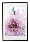 FLOWER PRINT 15