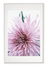 FLOWER PRINT 15
