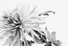 FLOWER PRINT 14