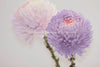FLOWER PRINT 2