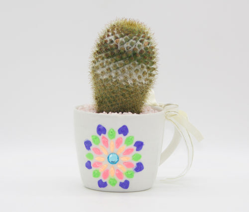 Tea Cup Cacti hand painted