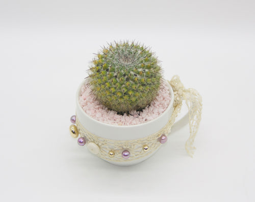 Tea Cup Cacti Beaded
