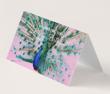 Cards - Eucalyptus Silver Dollar