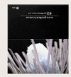 Cards - Banksia