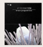 Cards - Banksia