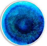 LARGE CIRCLES