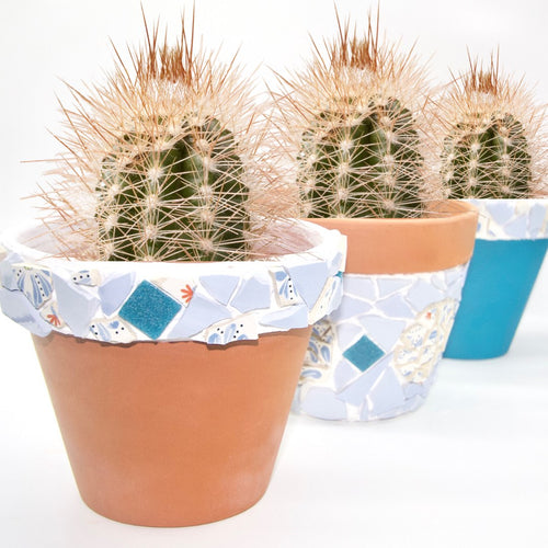 Mosaic Pot Planter with Cactus